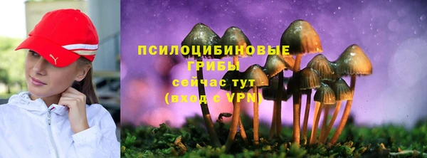 ПСИЛОЦИБИНОВЫЕ ГРИБЫ Михайлов