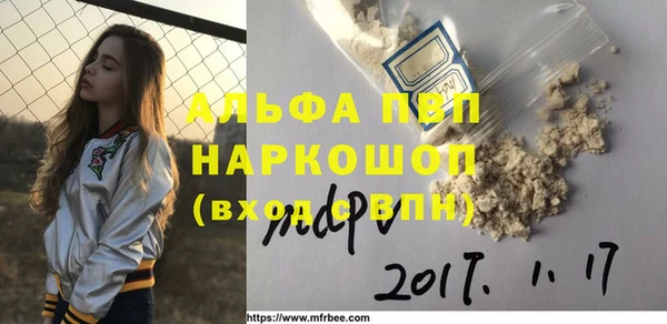 ПСИЛОЦИБИНОВЫЕ ГРИБЫ Михайлов