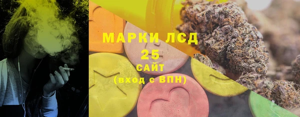 ПСИЛОЦИБИНОВЫЕ ГРИБЫ Михайлов