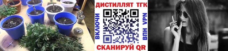 купить наркотик  Тамбов  Дистиллят ТГК гашишное масло 
