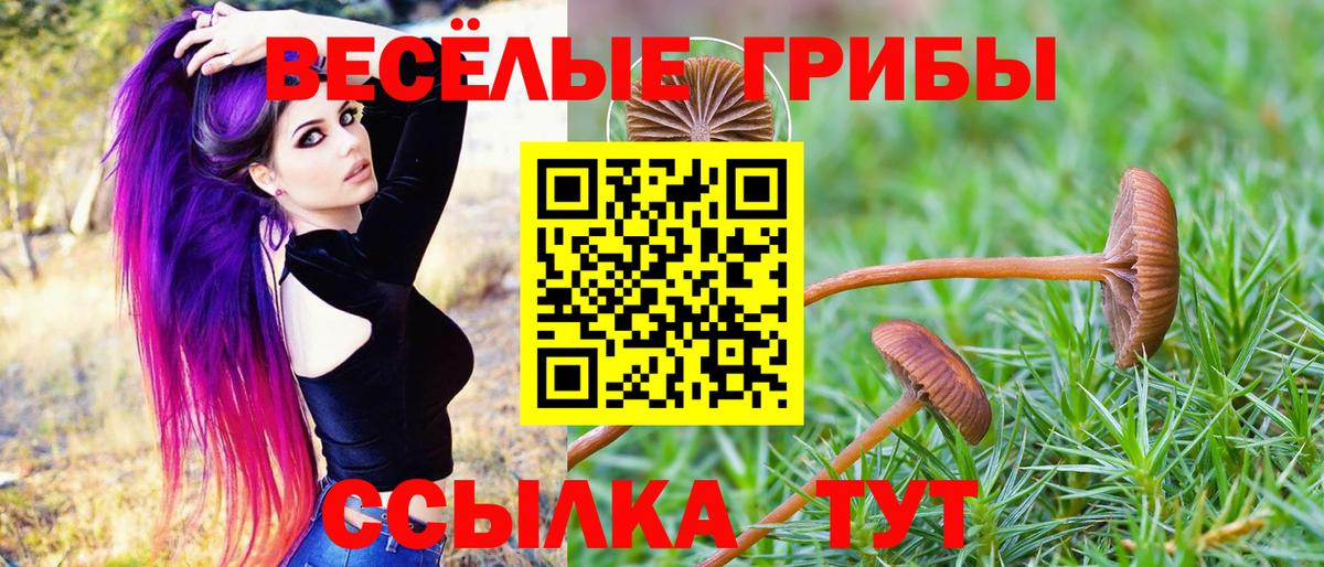 Тамбов  Псилоцибиновые грибы GOLDEN TEACHER  Вход с VPN 