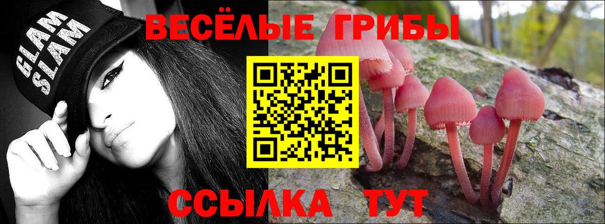 Галлюциногенные грибы прущие грибы Тамбов